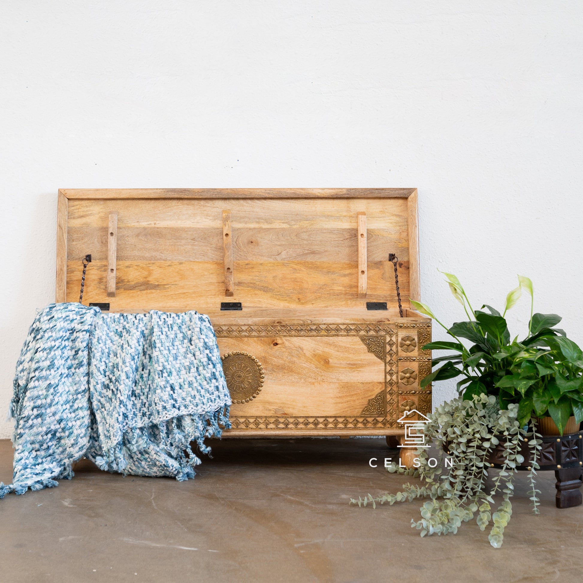 Simon Brass Fitted Heritage Trunk