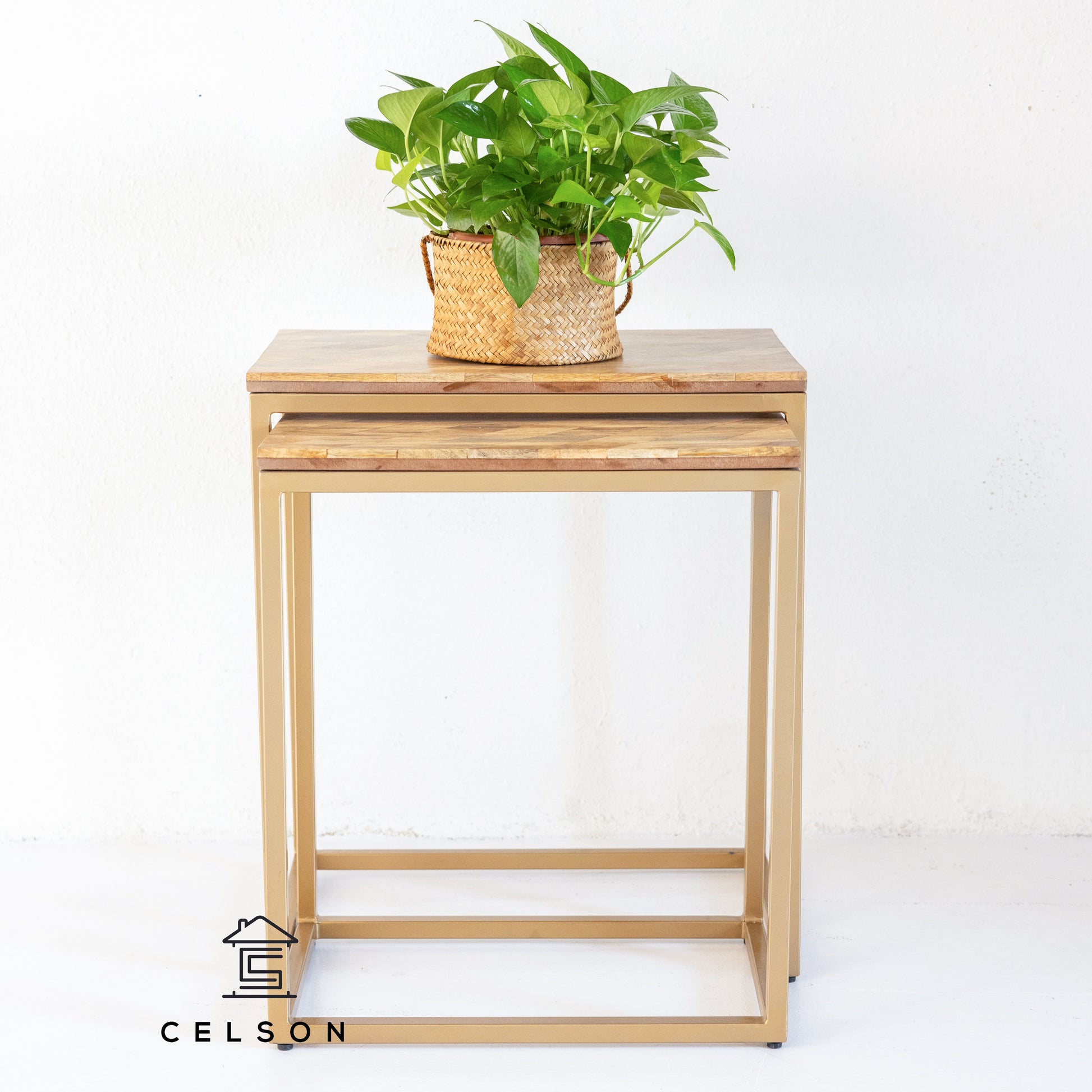 Rian Wooden Nesting Table Set