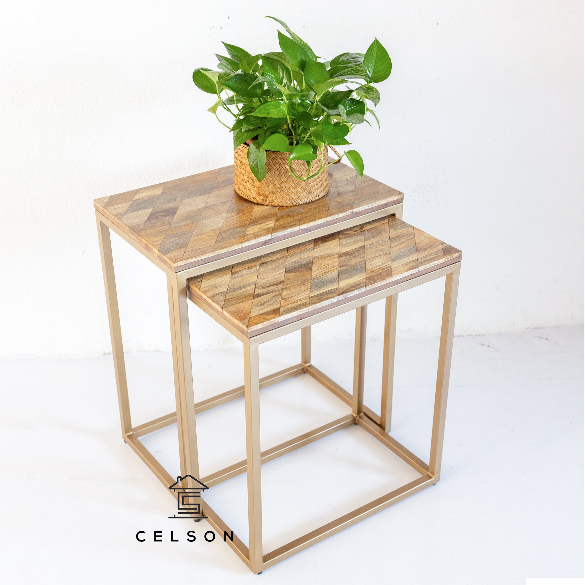 Rian Wooden Nesting Table Set