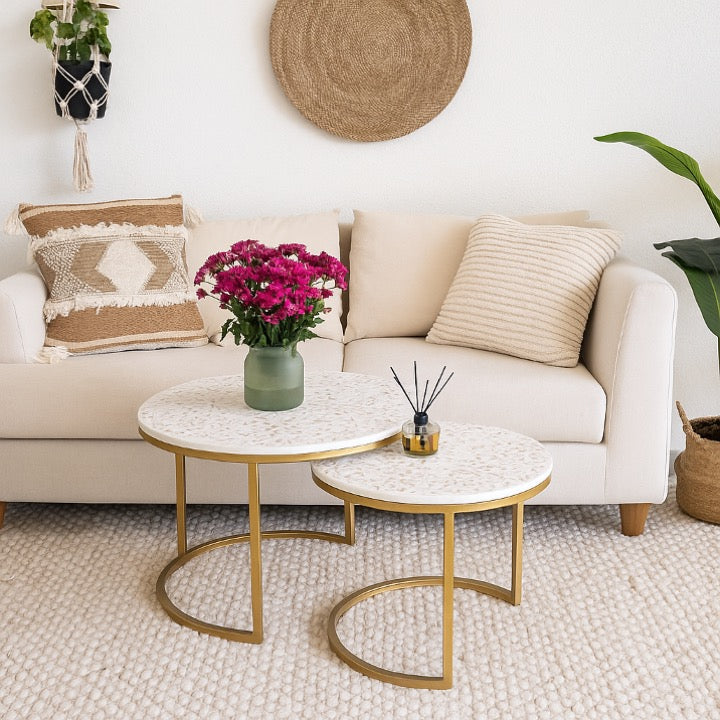 Isha Mother of Pearl Inlay Coffee Table