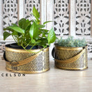 Switch Stella Brass Finish Planter Basket 2 image