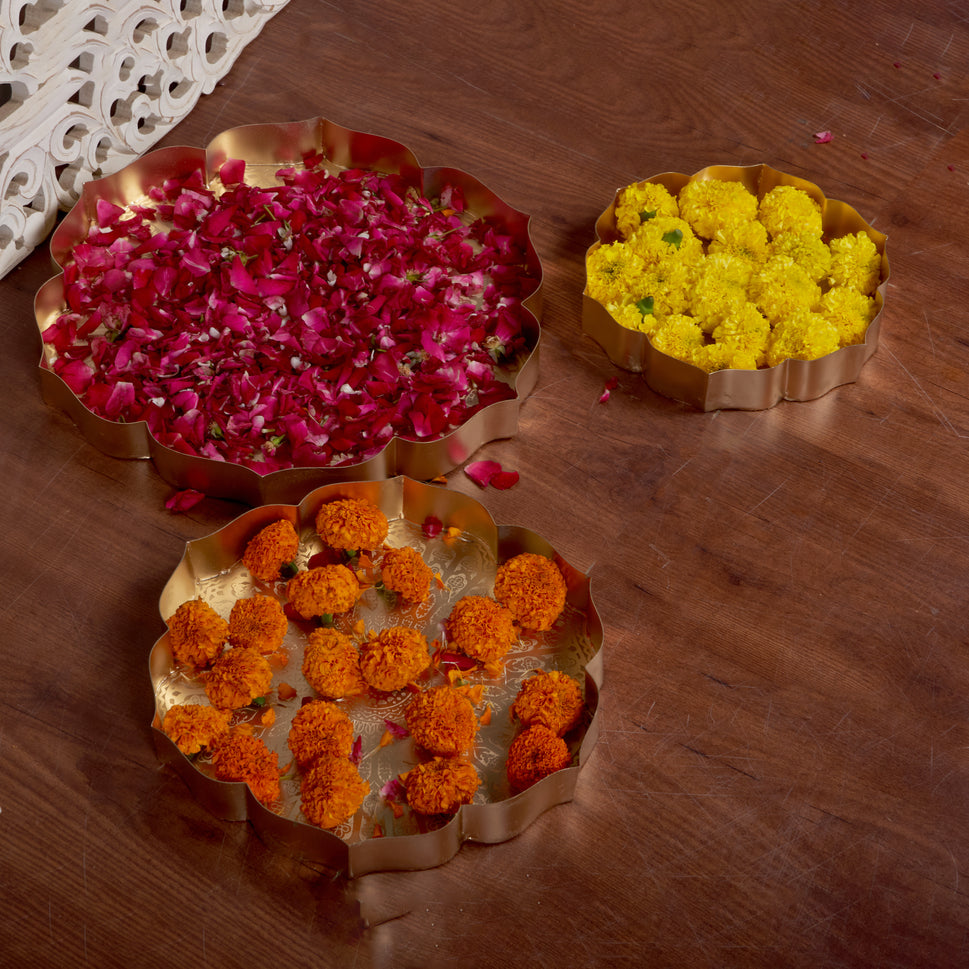 Suhani Urli set of 3