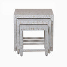 Switch Liam Mother of Pearl Inlay Nesting Table 3 image